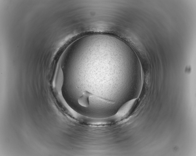 X0000091950540200709131206