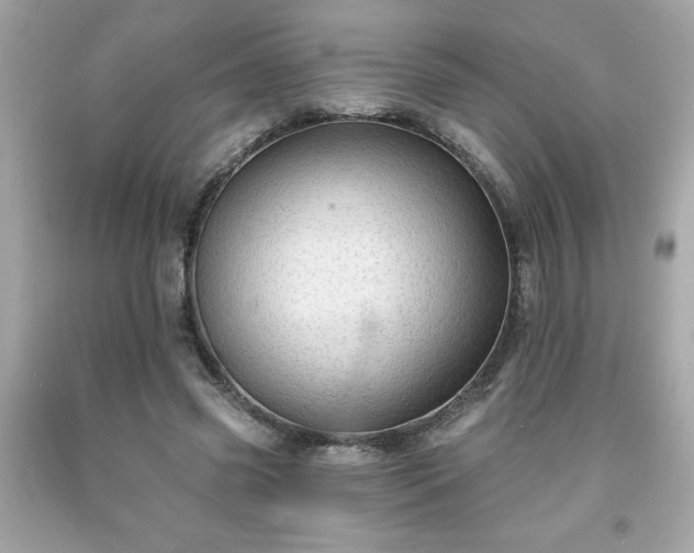 X0000091950541200709131206