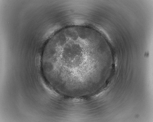 X0000091950542200709131206