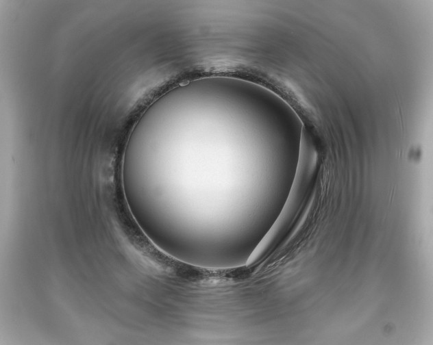 X0000091950543200709131206