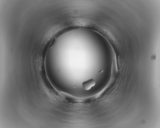 X0000091950544200709131206