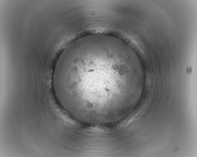 X0000091950545200709131206