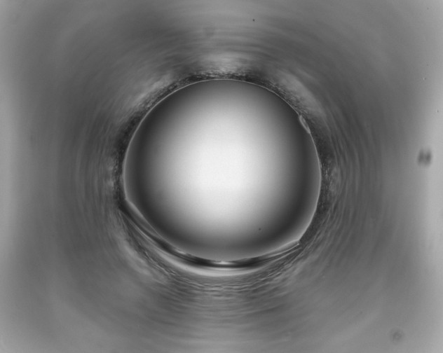 X0000091950546200709131206