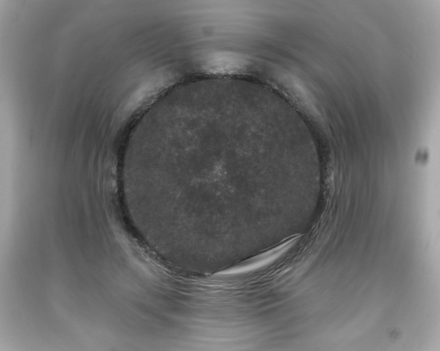 X0000091950547200709131206