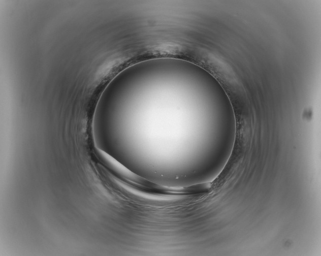 X0000091950548200709131206