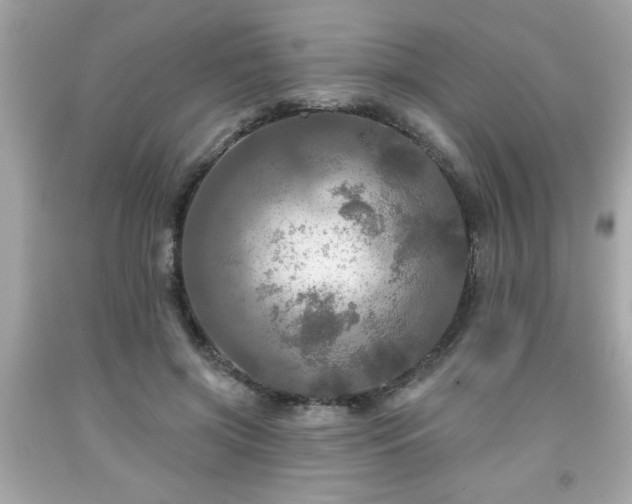 X0000091950549200709131206