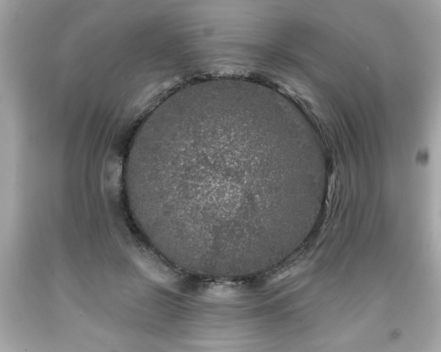 X0000091950550200709131206