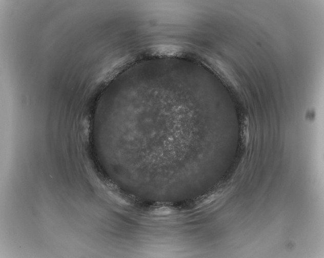 X0000091950551200709131206