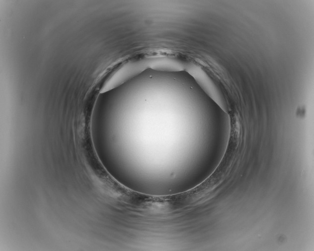 X0000091950552200709131206