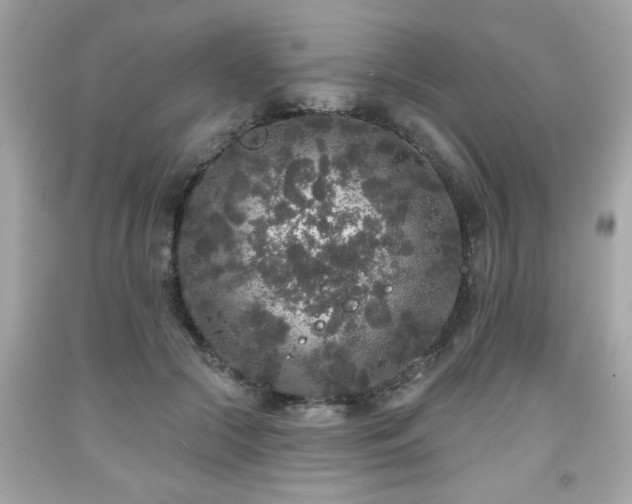 X0000091950553200709131206