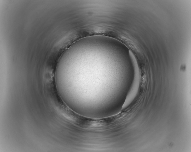 X0000091950555200709131206