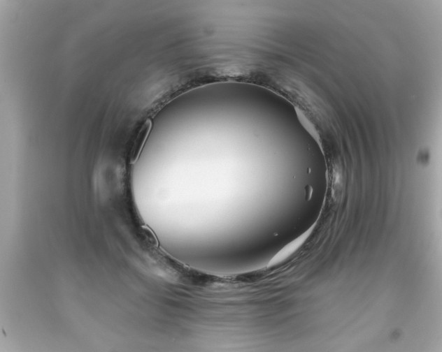 X0000091950556200709131206