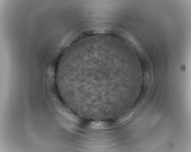 X0000091950557200709131206