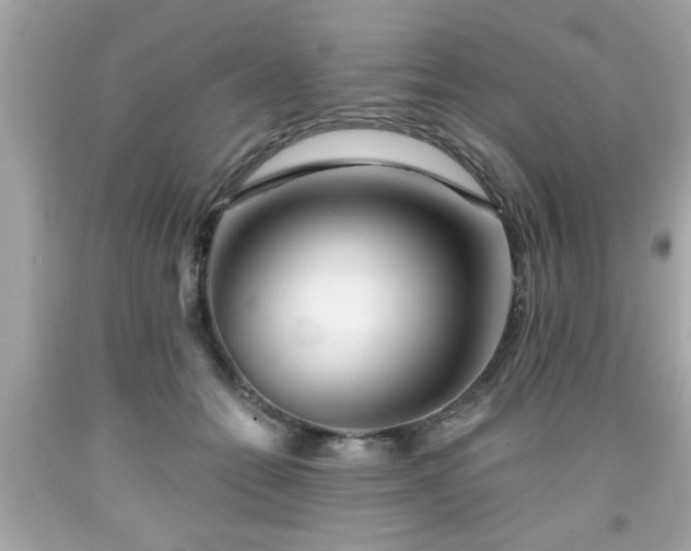 X0000091950558200709131206