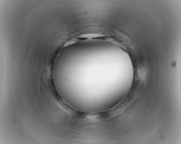 X0000091950560200709131206