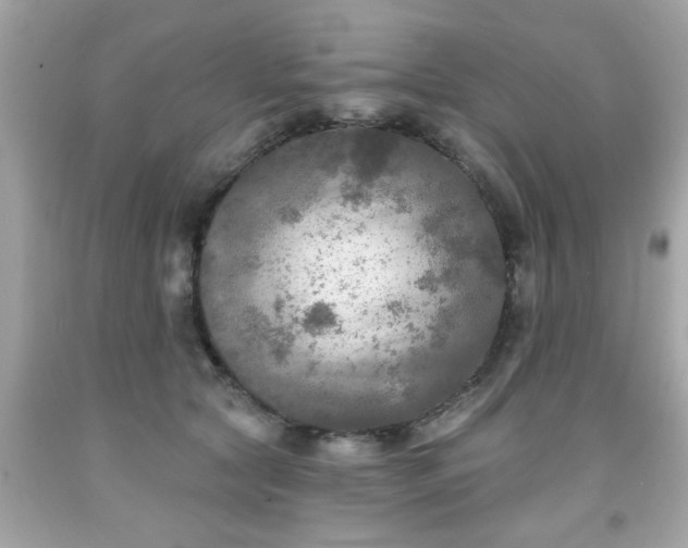 X0000091950561200709131206