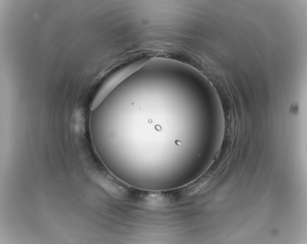 X0000091950562200709131206