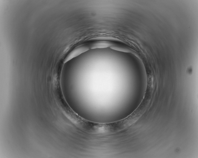 X0000091950564200709131206