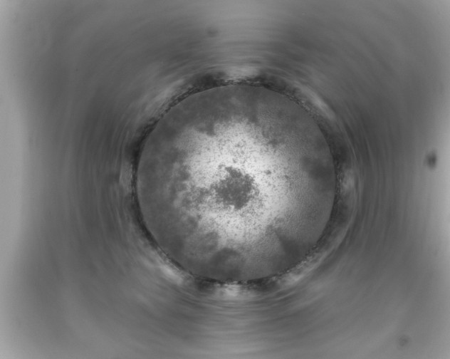 X0000091950565200709131206