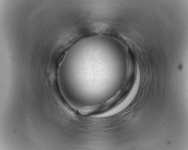 X0000091950566200709131206