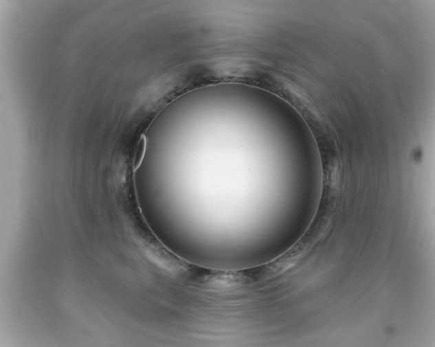 X0000091950567200709131206