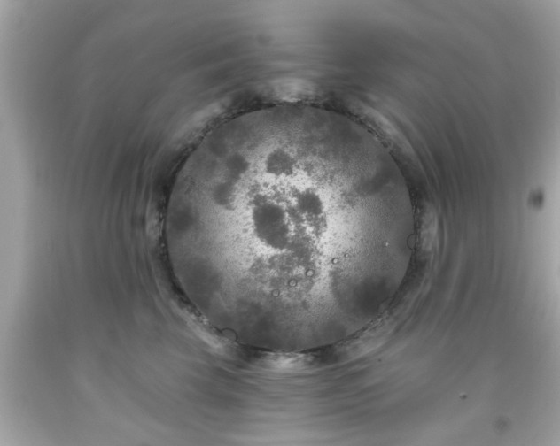 X0000091950569200709131206