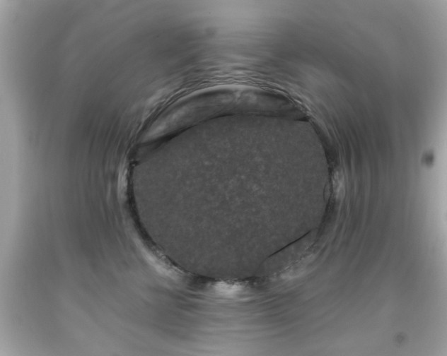 X0000091950570200709131206