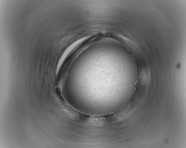 X0000091950571200709131206