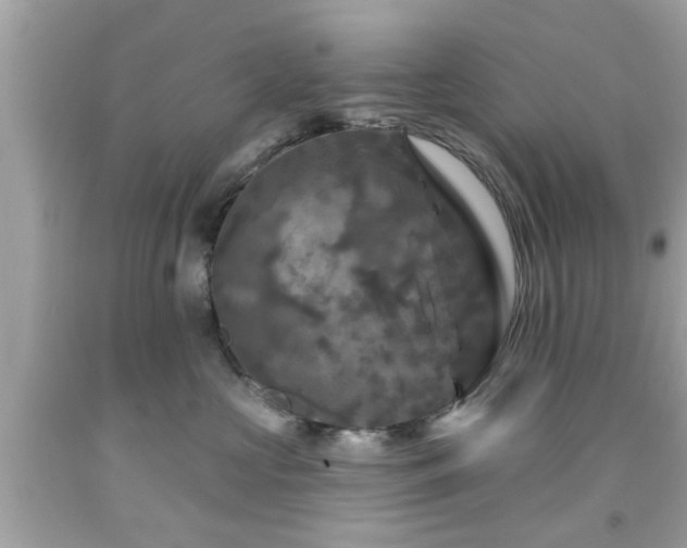 X0000091950573200709131206