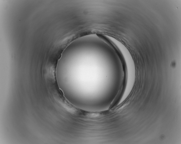 X0000091950575200709131206