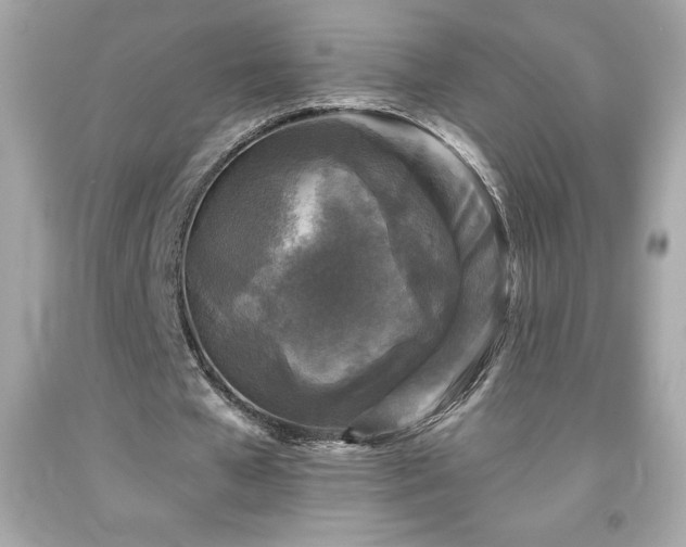 X0000091950577200709131206