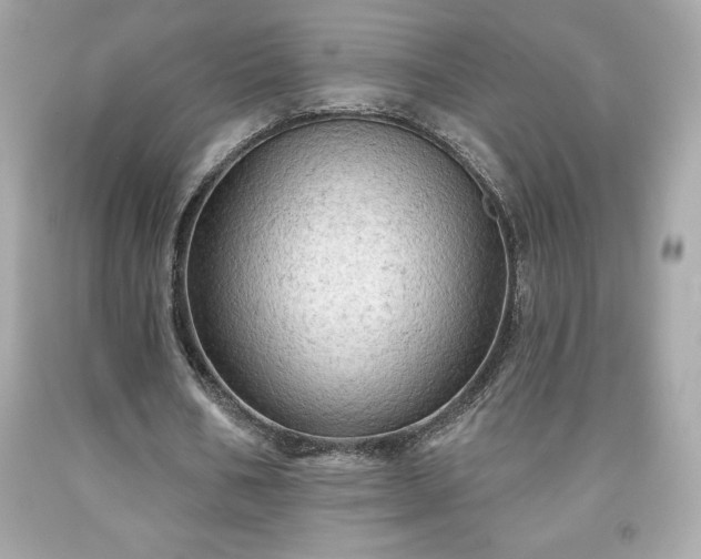 X0000091950578200709131206