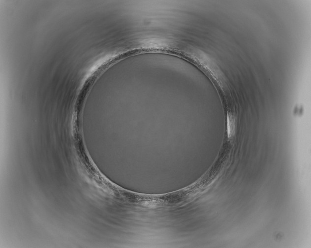 X0000091950579200709131206