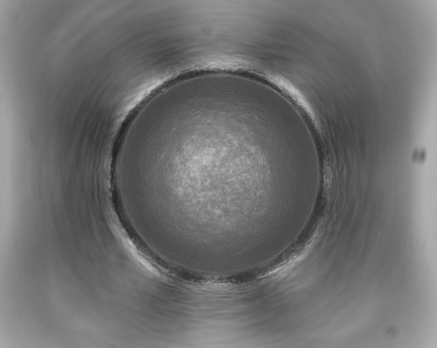 X0000091950581200709131206