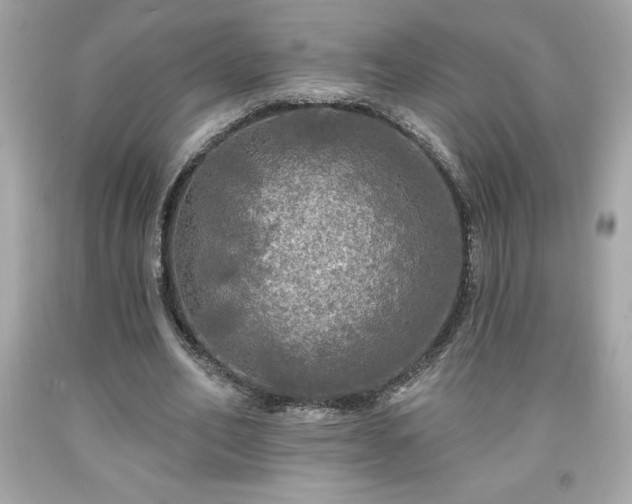 X0000091950582200709131206