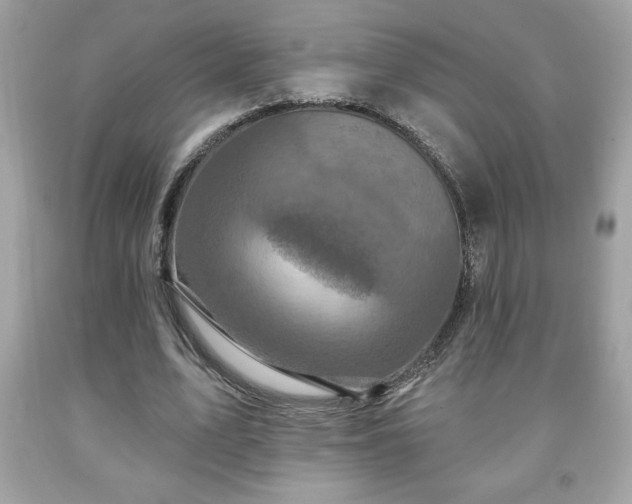 X0000091950583200709131206