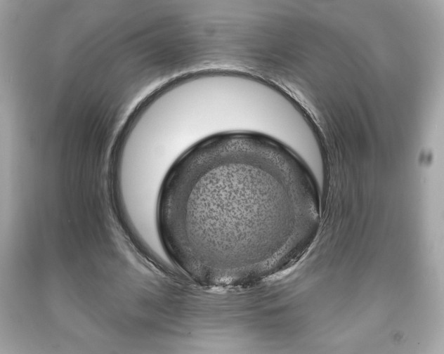 X0000091950584200709131206