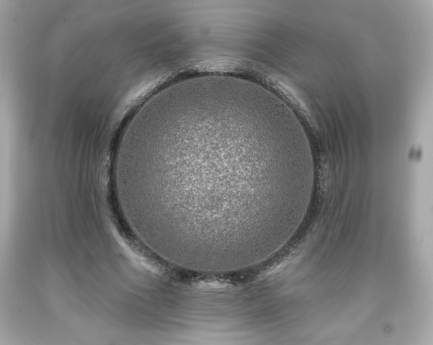 X0000091950586200709131206