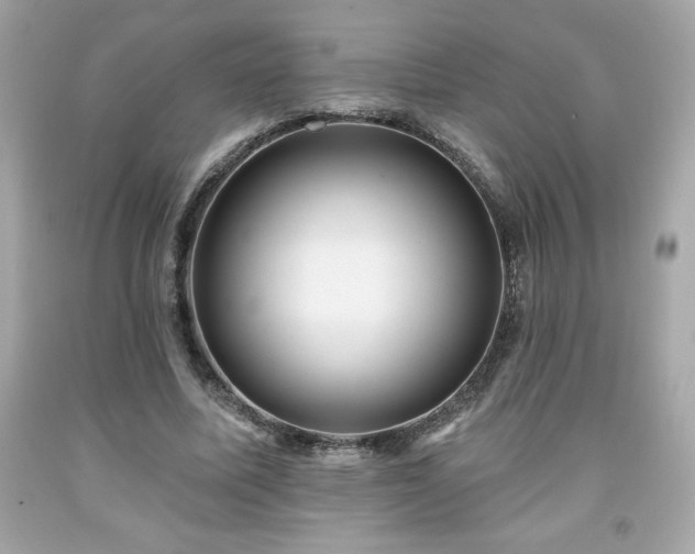 X0000091950587200709131206