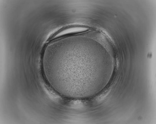 X0000091950588200709131206