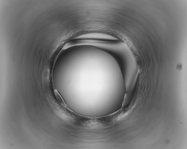 X0000091950589200709131206