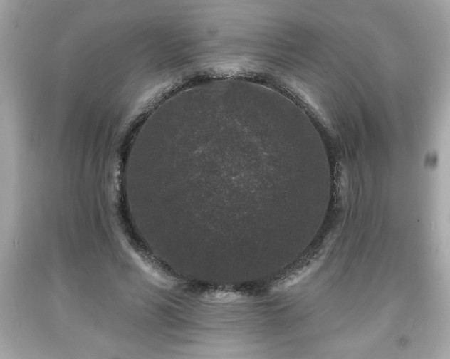 X0000091950590200709131206