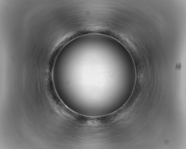 X0000091950591200709131206