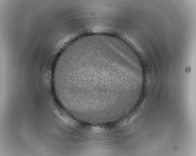 X0000091950592200709131206