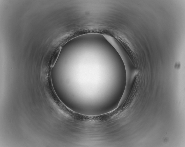 X0000091950593200709131205