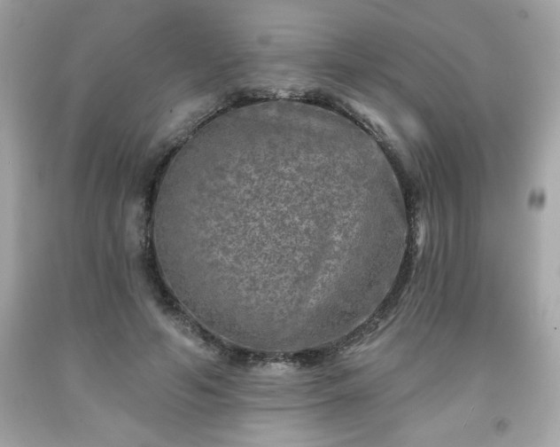 X0000091950594200709131205