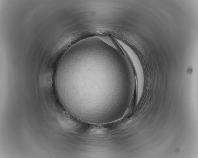 X0000091950595200709131205
