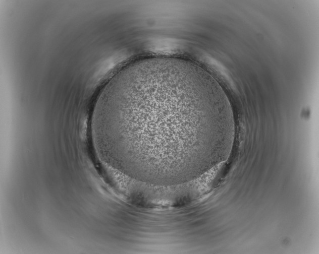 X0000091950596200709131205