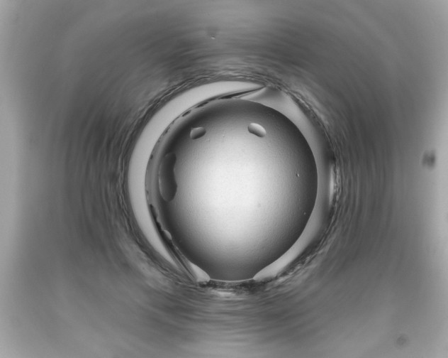 X0000091950597200709131205