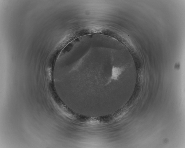 X0000091950598200709131205